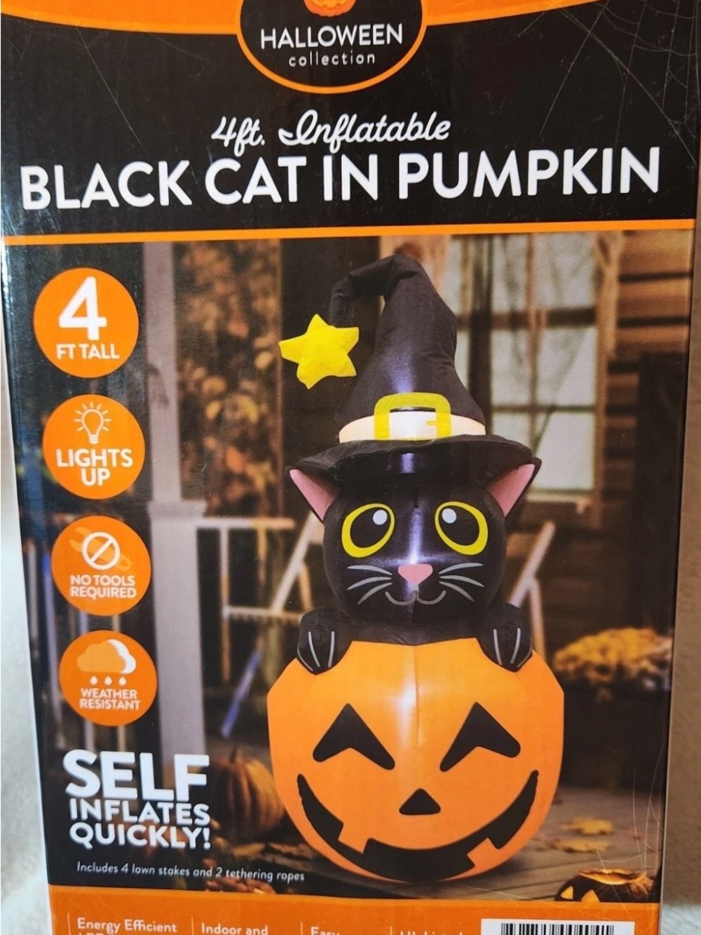 Black & Orange Inflatable Cat in Pumpkin — 4ft